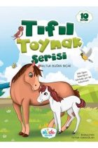 Tıfıl Toynak Serisi